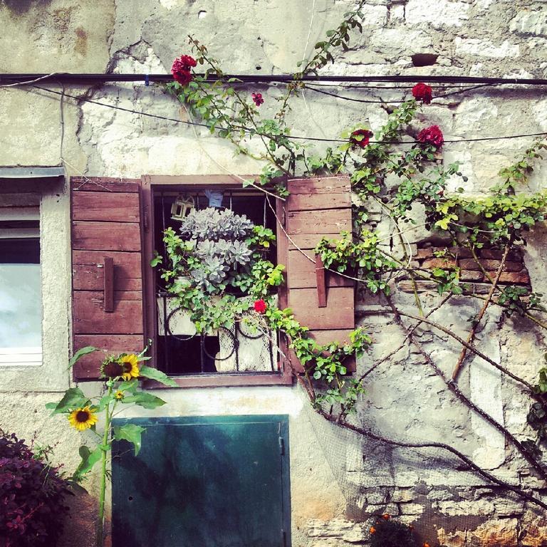 Villa Segalla Rovinj Exteriör bild